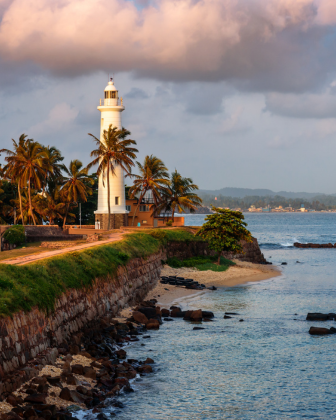 The white Galle Fort lighthouse framed by palm trees at golden hour, coastal ramparts below.